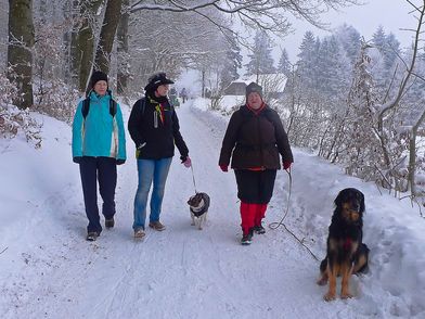 am Weg zurück